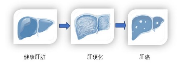 1727684279202335.jpg 1.jpg