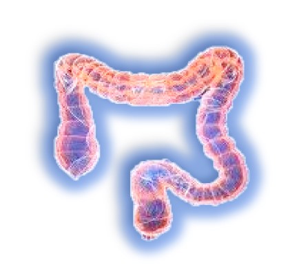 1727684395963696.jpg 1.jpg